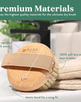 Bare botanics palm size dry