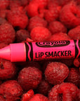 Lip Smacker Crayola Lip Balm Party Pack - 8 Moisturizing Lip Balms, Cotton Candy, Orange, Sherbert, Watermelon, Berry, Apple, Banana, Hydrating & Protecting - Cruelty-Free