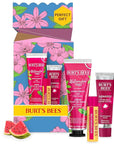 Burt's Bees Mothers Day Gifts (Packaging