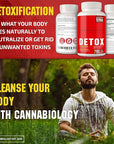 CANNABIOLOGY EST. 2016 Complete Body Cleanse - Natural, Healthy Cleansing Support for Liver, Urinary Tract, Kidney, Digestive System - Made in United States - 42 Vegan Caps