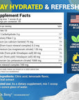 Dr. Berg Zero Sugar Hydration Keto Electrolyte Powder - Enhanced w/ 1000 mg of Potassium & Real Pink Himalayan Salt (NOT Table Salt) - Lemonade Flavor Hydration Drink Mix Supplement - 50 Servings