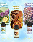 Bath Fragrance Oils Set, ARVIDSSON Natural Spa Essential Oils for Diffuser, Soap and Candle Making, Vanilla & Coconut, Lavender Bliss, Sparkling Grapefruit, Citrus Verbena, Amber Oud, Scented Oils