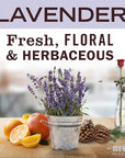 MRS. MEYER'S CLEAN DAY Foaming Hand Soap Concentrated Refills, 4 Concentrated Refills (2 Fl. Oz each), Lavender Scent, Makes 40 Fl. Oz. of Foaming Soap Total