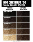 IGK Permanent Hair Dye Color Kit | 5G Hot Chestnut - Warm Golden Brown | 100% Gray Color Coverage + Strengthen + Shine | Ammonia Free