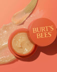 Burt’s Bees Stocking Stuffers, Moonlight Orchard Lip Sleeping Mask, With Hyaluronic Acid and Squalane Moisturizer To Instantly Hydrate Lips, Overnight Lip Mask, Lip Treatment Christmas Gifts, 0.45 oz.