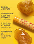 Burt's Bees Burts Bees Beeswax Bounty Gift