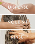 Dove Conditioner Argan Oil & Repair for Fine Hair with Bio-Protein Care Technology and Argan Oil Blend 12 Fl Oz