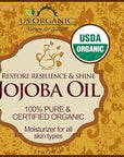 US Organic Jojoba Oil, USDA Certified Organic,100% Pure & Natural, Cold Pressed Virgin, Unrefined, Haxane Free, Sourced from Middle East directly (Large (8oz, 240ml))