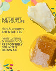 Burt's Bees Lip Balm Party Pack - Birthday Cake, Waffle Cone, Strawberry Shortcake, and Cookies & Cream, All Day Moisturizer, Tint-Free, Natural Origin Conditioning Lip Treatment, 4 Tubes, 0.15 oz.