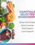 Livingood Daily Collagen Powder for Women & Men, Unflavored, Grass Fed Hydrolyzed Collagen Peptides, Protein & Multivitamins for Healthy Hair, Skin & Nails, Keto & Paleo, Gluten Free, 30 Servings