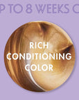 SoftSheen-Carson Dark and Lovely Fade Resist Rich Conditioning Hair Color, Permanent Hair Color, Up To 100 percent Gray Coverage, Brilliant Shine with Argan Oil and Vitamin E, Sun Kissed Brown