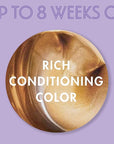SoftSheen-Carson Dark and Lovely Fade Resist Rich Conditioning Hair Color, Permanent Hair Color, Up To 100 percent Gray Coverage, Brilliant Shine with Argan Oil and Vitamin E, Light Golden Blonde