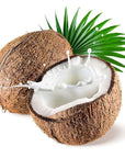 US Organic Fractionated Coconut MCT Oil (Liquid Coconut Oil), USDA Certified Organic, Non-GMO, Perfect for massage, carrier oil for DIY blends, Hair, Skin care. 100% Pure, Hexane-Free (8 oz)