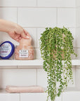 Dr Teal's Pink Himalayan Salt Body Scrub, Restore & Replenish with Pure Epsom Salt & Essential Oils, 16 oz (Pack of 3)