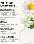 Pacifica Beauty, Vegan Collagen Overnight Recovery Eye & Face Cream, Hyaluronic Acid, Caffeine, Vitamin C & E, Hydrating & Moisturizing Skin Care for Aging and Dry Skin, 15ml - 0.5 fl oz