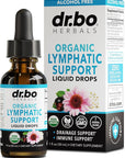 Lymphatic Drainage Supplements Drops - Organic Lymphatic Support Liquid Drops Cleanse with Echinacea for Lymph System Support Supplement, Lymph Node Detox Lymphatic System Drainage - 1oz Vegan Non-GMO