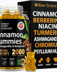 Cinnamon Gummies - Blood Support - Ceylon Cinnamon & Cinnamon Bark 2000MG Blend Supplements, Berberine, Turmeric, Gymnema Sylvestre, Bitter Melon, Psyllium Husk, Chromium - 60 Gummies