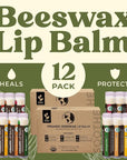 Earth's Daughter USDA Organic Lip Balm 12-Pack (2x 6-Packs) - Fruit Flavors, Beeswax, Coconut Oil, Vitamin E - Best Lip Repair Chapstick for Dry Cracked Lips - Moisturizing Lip Care