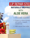 Aquaphor Naturally Inspired Lip Repair Stick with Aloe Vera and Natural Shea Butter, Hydrating Lip Balm Stick Immediately Relieves Dryness and Soothes Chapped Lips, 0.17 Oz Stick, Pack of 3