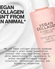 Pacifica Face Moisturizer - Vegan Collagen Face Lotion SPF 30 Broad Spectrum Sunscreen Every Day Face Lotion, UVA/UVB Protection for All Skin Types, Lightweight, Hydrating, Cruelty Free