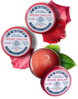 C.O. Bigelow All Purpose Salve Lip