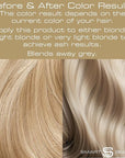 Ash Blonde Hair Dye with added Plex Hair Care Conditioner, Permanent Hair Color with Cool Ash Hair Toner for Blond Hair, Vegan Hair Dye, Cruelty-Free - Smart Beauty Hair Color