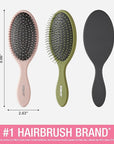 Conair Detangling Hair Brush 3PK - For wet and dry hair - curly hair brush - hair brushes for women - detangler brush - hair brushes for women - Evergreen, Blush Pink, Black Assorted