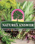 Nature's Answer Black Walnut Green Hull Extract 1oz - Alcohol-Free, Gluten-Free, Kosher - Black Walnut, Wormwood Black Walnut Clove Parasite Cleanse - Detox & Liver Support, Digestive Cleanser