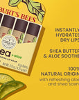 Burt's Bees Shea and Aloe Moisturizing Lip Balm, Lip Moisturizer With Responsibly Sourced Beeswax, Tint-Free, Natural Origin Conditioning Treatment, 4 Tubes, 0.15 oz.