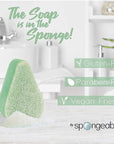 Spongeables Anti Cellulite Body Wash in a 20+ Wash Sponge, Fresh Aloe, 1 Count