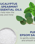 Dr Teal's Pure Epsom Salt Body Scrub, Relax & Relief with Eucalyptus & Spearmint Essential Oils, 16 oz (Pack of 3)