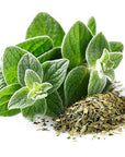 US Organic 100% Pure Oregano Essential Oil - USDA Certified Organic, Steam Distilled (10 ml)