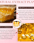 12 Pcs Bee Lip Balm Honey