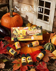 Fall Cozy Cabin Fragrance Oils Set, Essential Oil for Diffuser, Use for Soap Candle Making-Smoky Cedar Wood, Roasted Marshmallows, Autumn Leaves, Warm Flannel, Fireplace Time, Pumpkin Patch