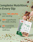 310 Nutrition All-In-One Meal Replacement Shake Powder - Plant-Based Protein Smoothie Blend w/High Fiber, Probiotics & Adaptogens - Low Carb, Vegan, Keto & Paleo Friendly - Gingerbread - 14 Srv