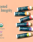 Cliganic Organic Lip Balm Set - 6 Tropical Flavors - 100% Natural Moisturizer for Cracked & Dry Lips