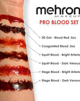 Mehron Makeup Pro Blood Set