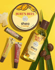 Burt's Bees Shea and Aloe Moisturizing Lip Balm, Lip Moisturizer With Responsibly Sourced Beeswax, Tint-Free, Natural Origin Conditioning Treatment, 4 Tubes, 0.15 oz.