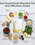 310 Nutrition All-In-One Meal Replacement Shake Powder - Plant-Based Protein Smoothie Blend w/High Fiber, Probiotics & Adaptogens - Low Carb, Vegan, Keto & Paleo Friendly - Lemon Cake - 28 Servings