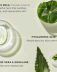 Hyaluronic Acid Moisturizer for Face - USA Made with Organic & Natural Ingredients, Hydrating Anti Aging Face Moisturizer for Dry Skin with Glycerin & Vitamin E, Unscented Anti Wrinkle Cream