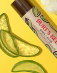 Burt's Bees Shea and Aloe Moisturizing Lip Balm, Lip Moisturizer With Responsibly Sourced Beeswax, Tint-Free, Natural Origin Conditioning Treatment, 4 Tubes, 0.15 oz.