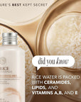The Face Shop Rice Ceramide Moisturizing Emulsion - Rice Extract - Lightweight Face Moisturizer - Brightening - Hydrating Targets Dryness - Strengthens Skin Barrier - Face Lotion - Korean Skin Care