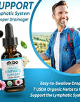 Lymphatic Drainage Supplements Drops - Organic Lymphatic Support Liquid Drops Cleanse with Echinacea for Lymph System Support Supplement, Lymph Node Detox Lymphatic System Drainage - 1oz Vegan Non-GMO