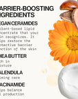 Pacifica Face Cream - Vegan Ceramide Barrier Cream w/Niacinamide & Shea Butter - Hydrating Daily Face Moisturizer Fragrance Free for Sensitive Skin, Vegan, Clean Beauty Allergy & Dermatologist Tested