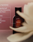 Aesop Aurner Eau de Parfum | Floral, Herbaceous, Fresh Unisex Fragrance | Floral Fragrance With Unexpected Contrasts | 1.6oz / 50mL