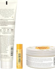 Burt's Bees Pregnancy Essentials Gifts Set, Nourishing