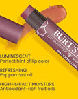 Burt's Bees Shimmer Lip Tint Easter