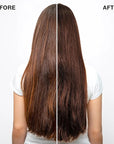 IGK Permanent Hair Dye Color Kit | 5GM Warm Up - Golden Mahogany Brown | 100% Gray Color Coverage + Strengthen + Shine | Ammonia Free