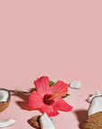 SheaMoisture Moisturize and Define Shampoo, Conditioner and Styling Milk for Curly Hair Care Coconut and Hibiscus with Shea Butter and Coconut Oil