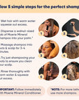 Moerie Shampoo and Conditioner Plus Hair Mask and Spray Mega Pack – The Ultimate Growth Care – For Longer, Thicker, Fuller Hair - Volumizing Products – Paraben & Silicone Free - 4 items